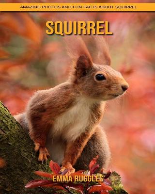 Book cover for Squirrel