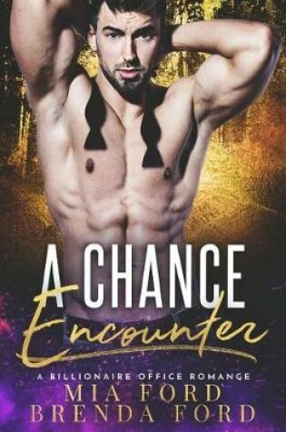 Cover of A Chance Encounter