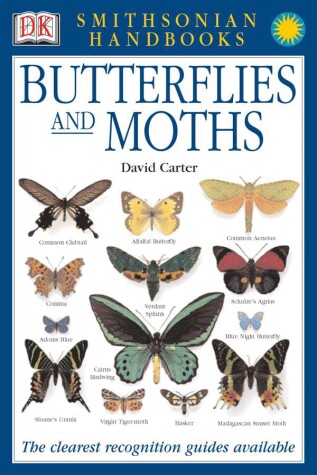 Cover of Butterflies & Moths