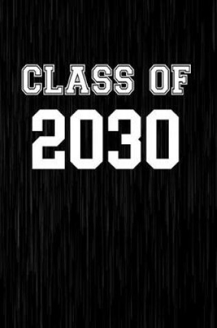 Cover of Class Of 2030