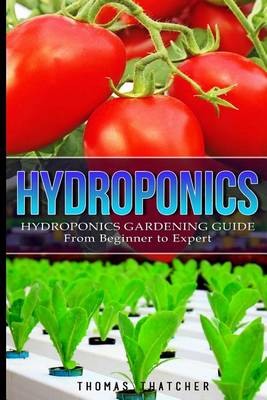 Book cover for Hydroponics