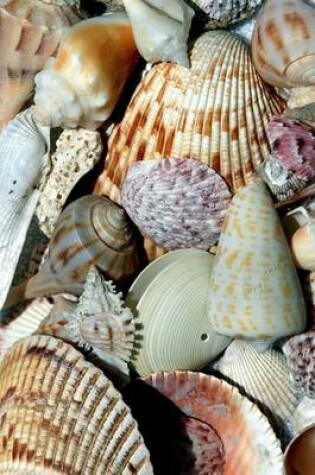 Cover of A Collection of Sea Shells Seashells