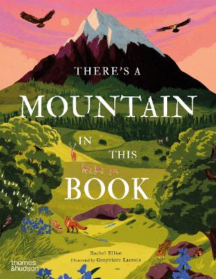 Book cover for There's a Mountain in This Book