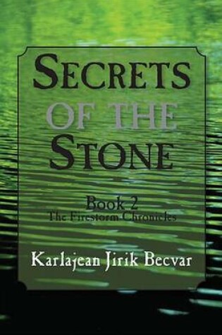 Cover of Secrets of the Stone