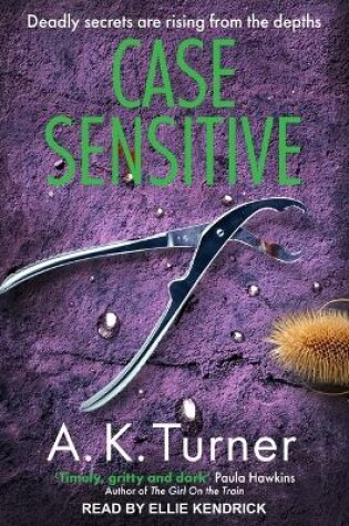 Cover of Case Sensitive