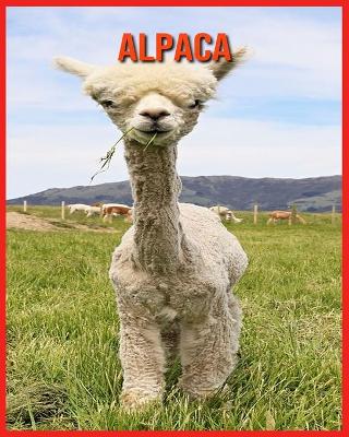 Book cover for Alpaca