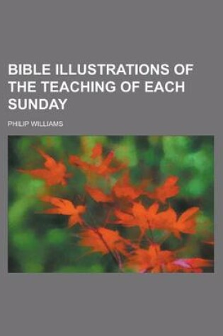 Cover of Bible Illustrations of the Teaching of Each Sunday
