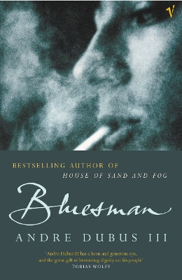 Book cover for Bluesman