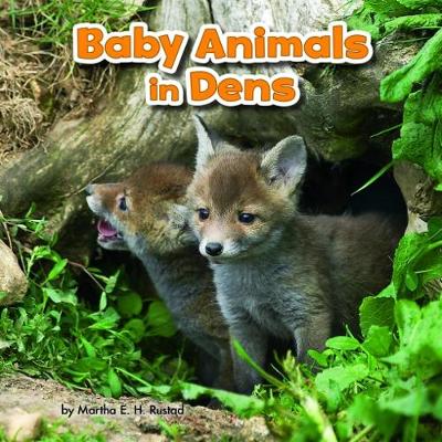 Cover of Baby Animals and Their Homes Pack A of 4