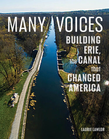 Book cover for Many Voices