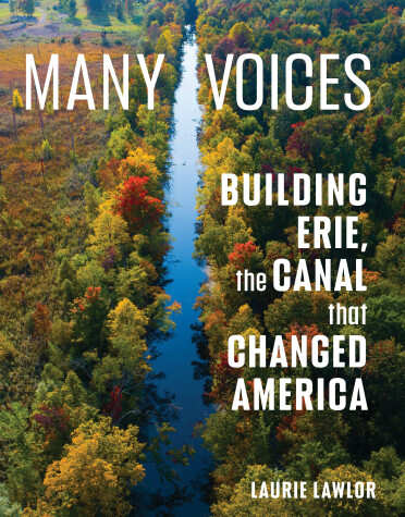 Book cover for Many Voices