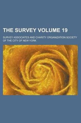 Cover of The Survey Volume 19