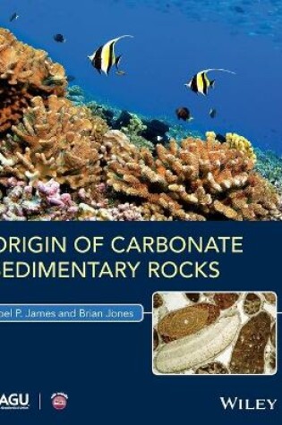 Cover of Origin of Carbonate Sedimentary Rocks