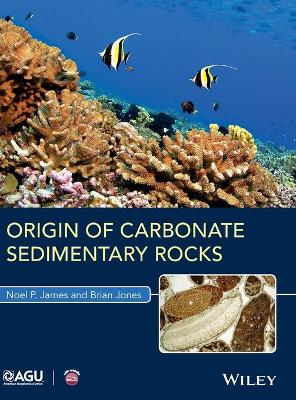 Book cover for Origin of Carbonate Sedimentary Rocks