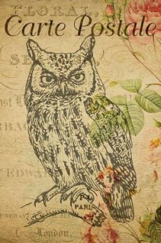 Cover of Carte Postale - Sitting Owl - Paris - Journal - 6 X 9 150 Lined Pages