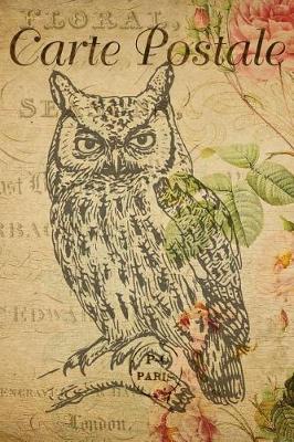 Book cover for Carte Postale - Sitting Owl - Paris - Journal - 6 X 9 150 Lined Pages