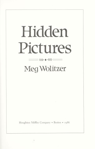 Book cover for Hidden Pictures