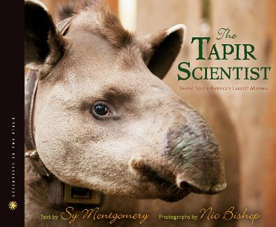 Book cover for Tapir Scientist: Saving South America's Largest Mammal