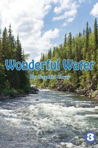 Cover of Wonderful Water