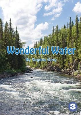 Book cover for Wonderful Water