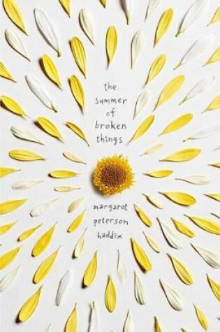 Cover of The Summer of Broken Things