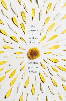 Book cover for The Summer of Broken Things