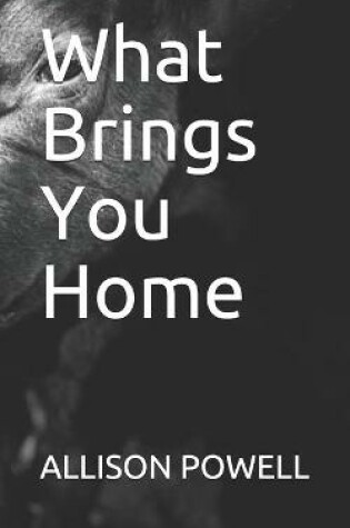 Cover of What Brings You Home