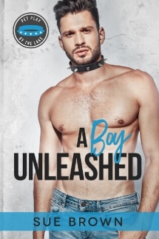Cover of A Boy Unleashed