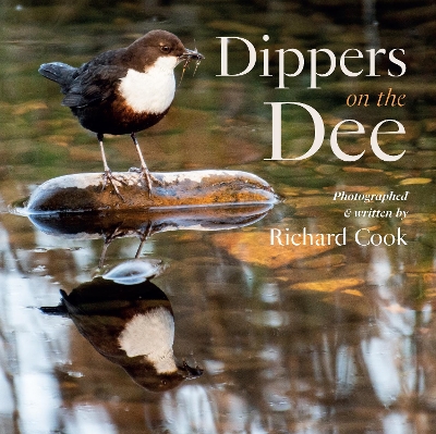 Book cover for Dippers on the Dee