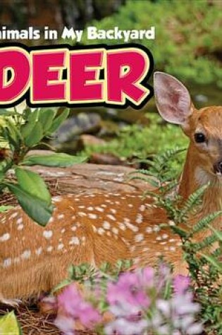 Cover of Deer