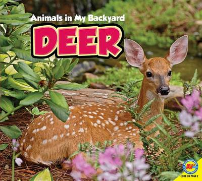 Cover of Deer