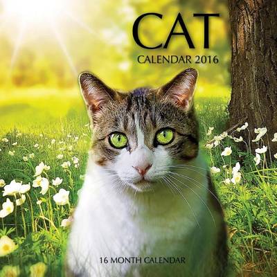 Book cover for Cat Calendar 2016