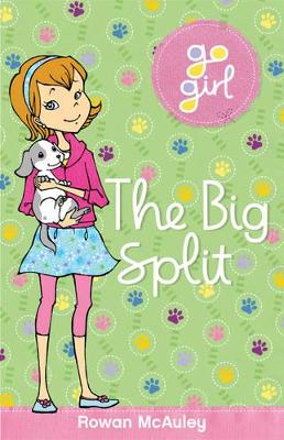 Book cover for Big Split
