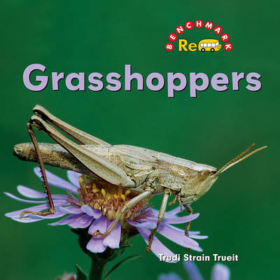 Cover of Grasshoppers