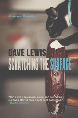 Book cover for Scratching the Surface