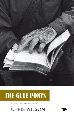 Book cover for The Glue Ponys