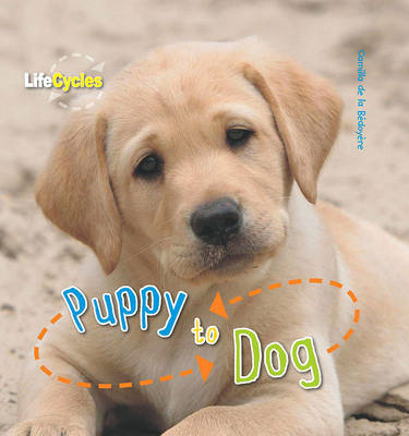 Book cover for Puppy to Dog