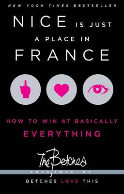 Book cover for Nice Is Just a Place in France
