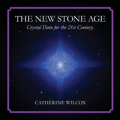 Book cover for The New Stone Age