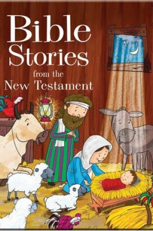 Cover of Bible Stories for the New Testament