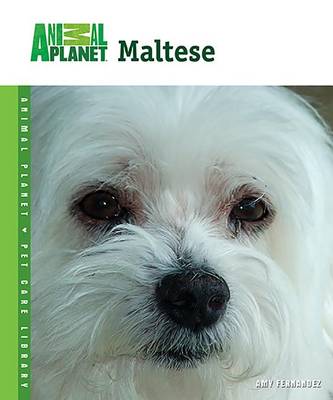 Book cover for Maltese