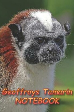 Cover of Geoffroys Tamarin NOTEBOOK