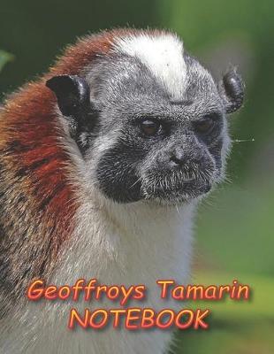 Book cover for Geoffroys Tamarin NOTEBOOK