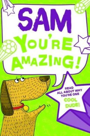 Cover of Sam - You're Amazing!