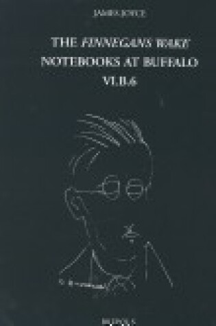 Cover of The Finnegans Wake Notebooks