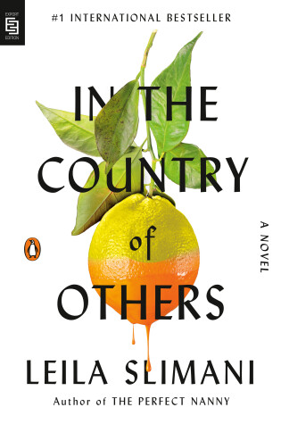 Cover of In the Country of Others