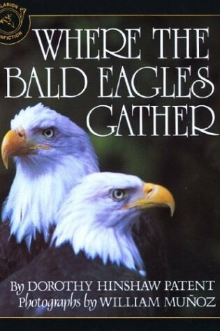 Cover of Where the Bald Eagles Gather