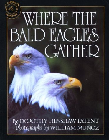 Book cover for Where the Bald Eagles Gather