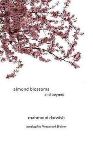 Cover of Almond Blossoms and Beyond