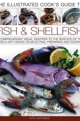 Cover of Illustrated Cook's Guide to Fish and Shellfish